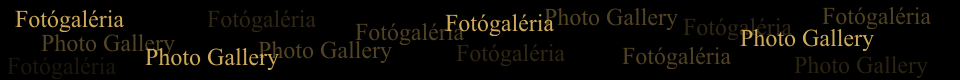 Photo Gallery