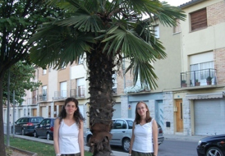 cantonigros2008-133